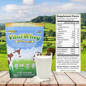 Vital Whey - Natural-15G Protein per Serve - Clean Holistic Grass-Fed Whey Powder for Immune Vitality - Wellness Nutrition - 600G
