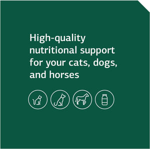 Standard Process Equine Mobility Support - Whole Food Horse Supplies for Antioxidant, Flexibility and Joint Support - Joint Supplement with Ginger Root, Glucosamine Sulfate, Chondroitin Sulfate - 40Oz