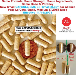 Azovast Powder Kidney Restores & Kidney Powder for Dogs & Cats, (4 Oz) - (175 Scoop/Jar) NO Refrigeration Required - Help Support Kidney Function & Manage Renal Toxins (Made in U.S.A) (4 Oz)