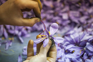 KORRES Golden Krocus Anti-Aging Serum for Women, 1 Fl Oz