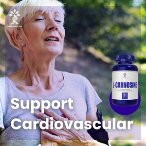 L-Carnosine 400Mg Capsules, 180 Count, L-Carnosine Supplement for Immune Support, Cellular Health, Energy Production, and Performance Enhancement