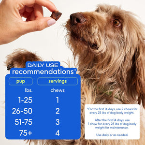 Native Pet Hip and Joint Supplement for Dogs - Includes Chondroitin and Glucosamine for Dogs Joint Supplement - 30 Dog Hip and Joint Chews - Natural Dog Joint Supplement for All Breeds Including Large