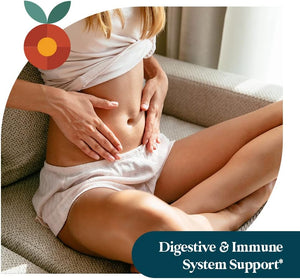 Pattern Wellness Gut Support Microbiome Complete Supplement - Gut Repair & Digestive Support - Whole Body Vegan Health - 3Rd Party Lab Tested - 30 Non-Gmo Capsules