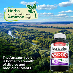 Lab | Resveratrol |180 Capsules | 45000 Mg | Resveratrol Supplement | Resveratrol Organic | Resveratrol Supplement Organic| Resveratrol Supplements | Resveratrol Capsules | Ultra High Absorption.