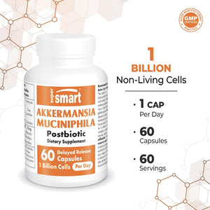 '- Akkermansia Muciniphila Postbiotic 1 Billion Non-Living Cells per Day (Maximum Strength) - GLP-1, Digestive & Gut Health Supplement | Non-Gmo & Gluten Free - 60 Delayed Release Capsules