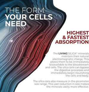 Living Silica Sports Recovery | Vegan Joint Recovery | Pre & Post Workout Recovery Supplement | Supports Tendon, Ligament and Cartilage Health, Energy and Endurance. 33.8 Fl Oz