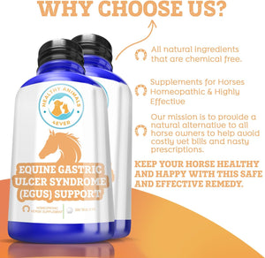 Horse All-Natural Equine Gastric Ulcer Syndrome (EGUS) Support -Reduces Ulcers & Other Stomach Lining Issues - Supplements for Horses - Homeopathic & Highly Effective-300 Tablets