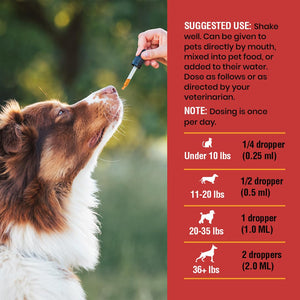 Urinary Tract Infection Treatment for Cats and Dogs - Cranberry UTI Supplement, Kidney and Bladder Support, 4 Oz