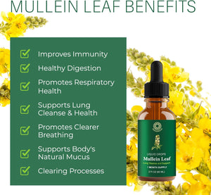 Mullein Leaf Extract: Mullein Extract for Lungs - Lung Cleanse - Mullein Tincture - Mullein Drops for Lungs - Respiratory Health Support - Healthy Breathing - Non-Gmo - Vegetarian - 1 Month Supply