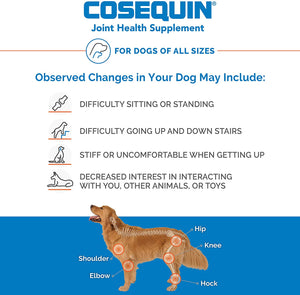 Nutramax Cosequin DS Joint Health Supplement for Dogs - with Glucosamine and Chondroitin, 250 Chewable Tablets