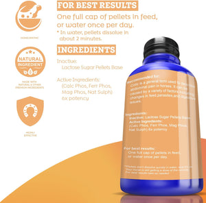 All-Natural Horse Colic Support - Reduces Abdominal Pain and Other Stomach Issues - Supplements for Horses - Homeopathic & Highly Effective - 300 Tablets