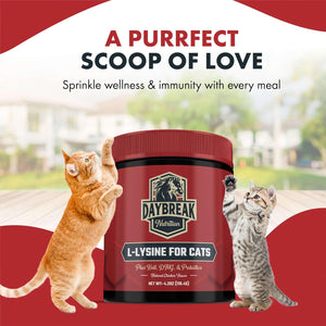 L-Lysine for Cats and Kittens - 900 Mg L Lysine Powder for Cats for Immunity & Respiratory Support - Cat Supplement with L-Lysine, Prebiotics, Krill, & DMG for Immune System, Eye Health & Sneezing