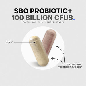 SBO Probiotics, 100 Billion Cfus per Serving, Multi Strain Soil Based Organisms Blend and Organic Fermented Botanical Blend, Shelf-Stable, 90 Capsules