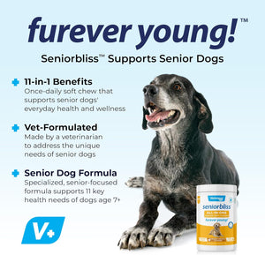 Vetnique Seniorbliss Senior Dog Joint Supplement with Glucosamine and Chondroitin for Dogs Joint Support and Healthy Cartilage Development - for Small & Large Breeds (Hip & Joint Chew, 30Ct)