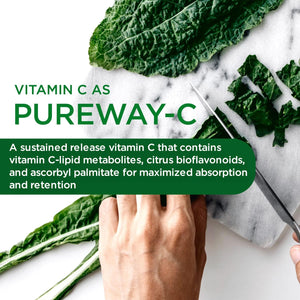 EMERALD LABS Men'S 1 Daily Multi - Additive-Free Men'S Multivitamin - Includes Lycopene, Zinc, Vitamin D3, & More - Supports Bones, Prostate & Vision* - 60 Vegetable Capsules