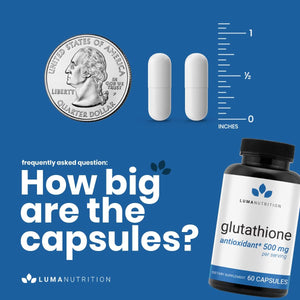 Premium Glutathione - Reduced Glutathione 500Mg - Glutathione Supplement - L-Glutathione - Antioxidant Support - Liver Support - 60 Capsules