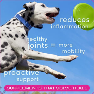 Native Pet Hip and Joint Supplement for Dogs - Includes Chondroitin and Glucosamine for Dogs Joint Supplement - 30 Dog Hip and Joint Chews - Natural Dog Joint Supplement for All Breeds Including Large