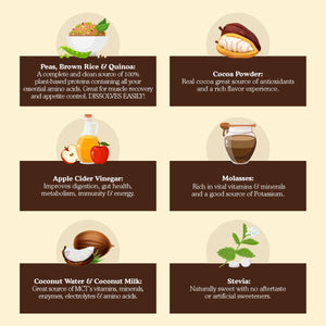 Meal Replacement Shakes, 21G Protein, Vegan Plant Based Protein Powder, Apple Cider Vinegar, Digestive Enzymes, All in One Shake for Women & Men (15 Servings, Vanilla Cream)