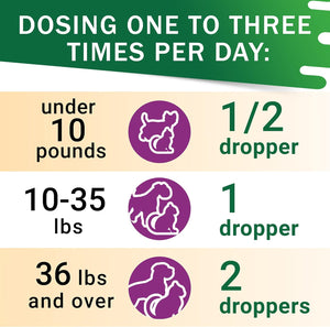 Liver Support Supplement for Dogs & Cats - Milk Thistle Liver Support - Canine Hepatic Care - Cat & Dog Liver Cleanse - Max Effect Liquid Drops