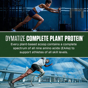 Dymatize Vegan Plant Protein, Creamy Chocolate, 25G Protein, 4.8G Bcaas, Complete Amino Acid Profile, 15 Servings