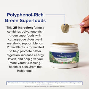 ® Primal Plants MTHF Greens Powder Superfood Supplement to Support Skin Health, Optimize Energy and Digestion, 1 Full Serving of Vegetables - Green Apple Flavor (30 Servings) (New Formula)