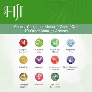 Coco Fiji Face & Body Lotion Infused with Coconut Oil | Lotion for Dry Skin | Moisturizer Face Cream & Massage Lotion for Women & Men |Coconut Lime 12 Oz, Pack of 1