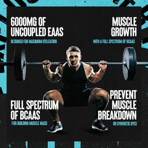 Animal Nitro 44 Packs Essential Amino Acids and BCAA Greens 30 Count Chlorophyll Antioxidant Immune Support