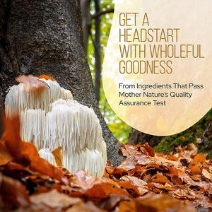 La Republica SUPER 7 USDA Organic Mushroom Powder (Lion'S Mane, Chaga, Reishi, Cordyceps, Maitake, Shiitake, Turkey Tail, Mushroom Supplement, Vegan, No Fillers (3 Oz)