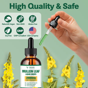 Mullein Drops for Lungs - 98% Absorption Rate 20000Mg Pure Mullein Leaf per Serving - Powerful Mullein for Lung Detox & Cleanse, Respiratory Health, Immunity - Alcohol Free, Natural & Vegan - 2 FL.OZ