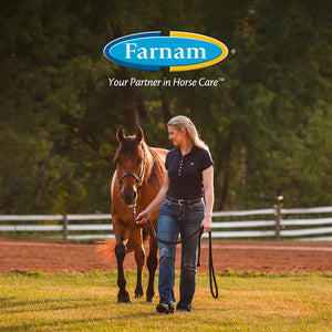 Farnam Horseshoer'S Secret Pelleted Hoof Supplements, Promotes Healthy Hoof Growth, Maintains Hoof Walls & Supports Cracked Hooves, 11 Lbs., 30 Day Supply