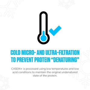 LEGION Casein+ Casein Protein Powder (Dutch Chocolate) - Slow-Release Micellar Casein Protein Powder - Non-Gmo, Gluten-Free & Naturally Sweetened Casein Powder from Grass-Fed Cows (30 Servings)