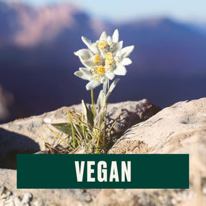 The Body Shop Edelweiss Daily Serum Concentrate – Hydrates and Refreshes Skin – Vegan – 30Ml