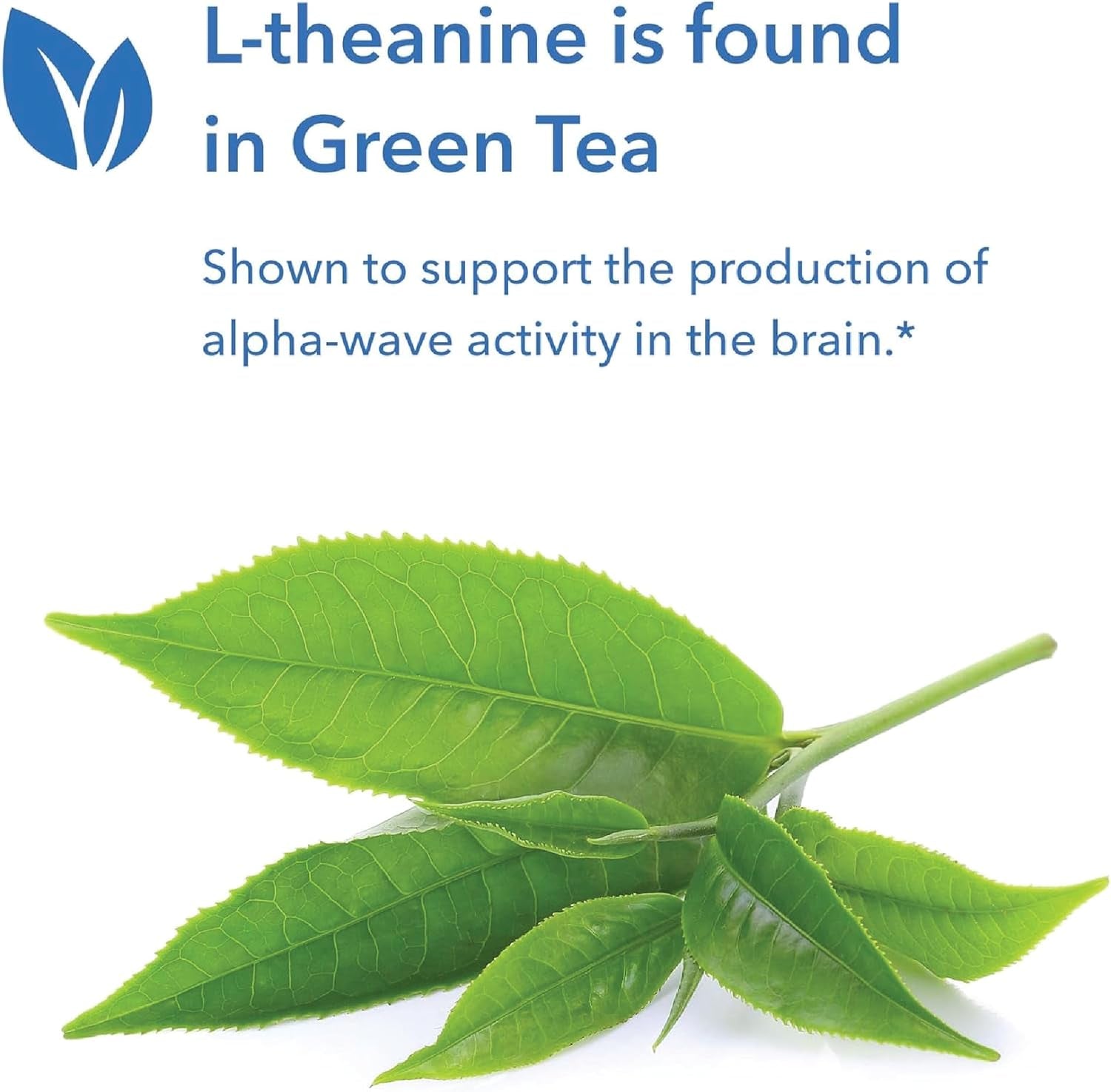 Allergy Research Group 200Mg of Zen Supplement - GABA, L-Theanine, Calmness Support, Day or Night, Hypoallergenic, Vegetarian Capsules - 120 Count 