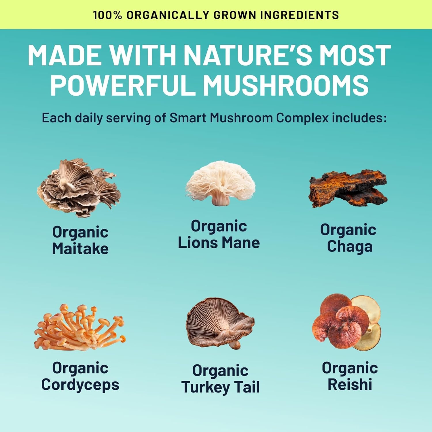 Smart Mushrooms Brain Supplement | Nootropic for Memory, Focus & Cognitive Health | Energy & Immune Support Blend with Lions Mane, Reishi, Cordyceps, Chaga & Turkey Tail | 240 Vegan Capsules