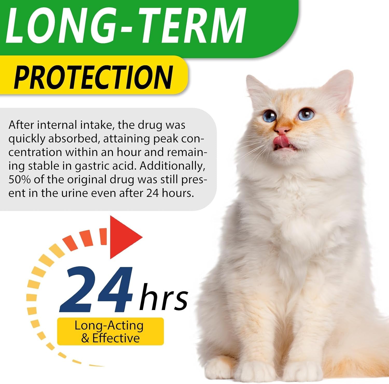 Antibiotics for Cats, Natural Antibiotic for Cats, Pet Supplements, Cat Antibiotics Supports Immune & Cats Allergy Relief, Cats Multivitamin, Cats UTI Antibiotics, Chicken Flavour - 2 Fl Oz / 1 Pack