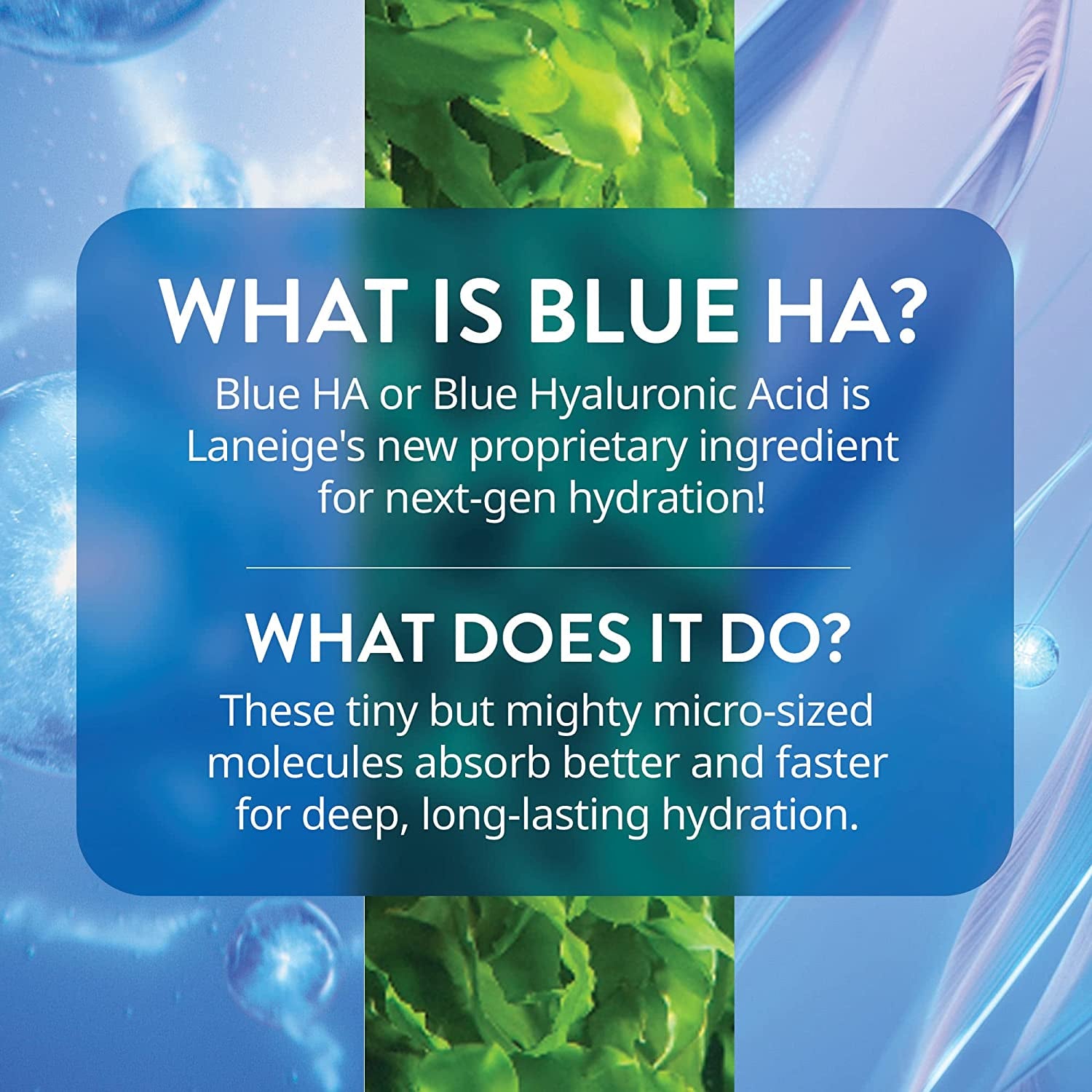 LANEIGE Water Bank Blue Hyaluronic Serum: Peptides, Green Tea Enzyme, Hydrate, Improve Skin Firmness 