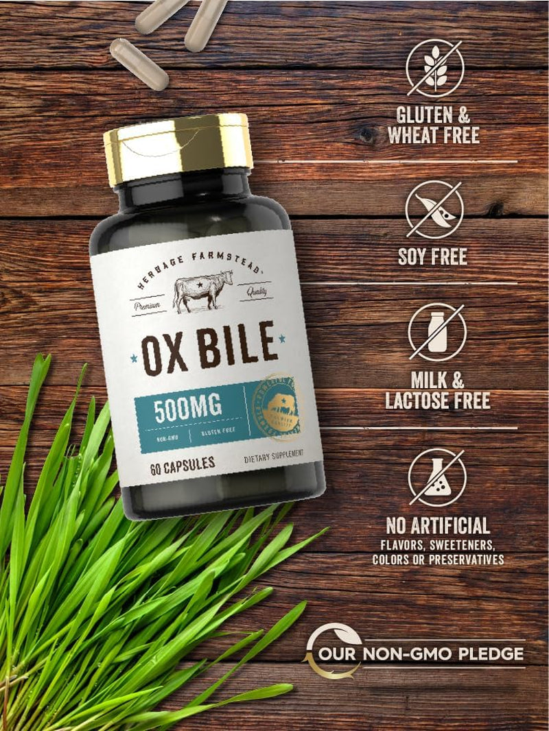 Carlyle Ox Bile Supplement | 500Mg | 60 Capsules | Digestive Enzyme | Non-Gmo & Gluten Free | by Herbage Farmstead