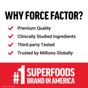 Primal Origins Beef Liver Capsules Made with Grass Fed Beef, Beef Organ Supplement, 120 Capsules