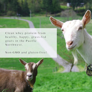Mt. Capra Goat Whey Protein | Grass-Fed Undenatured Whey Protein Powder from Pastured Goats, High in Branch Chain Amino Acids, Natural Vanilla - 1 Pound 