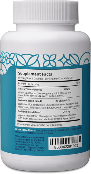 Pattern Wellness Gut Support Microbiome Complete Supplement - Gut Repair & Digestive Support - Whole Body Vegan Health - 3Rd Party Lab Tested - 30 Non-Gmo Capsules