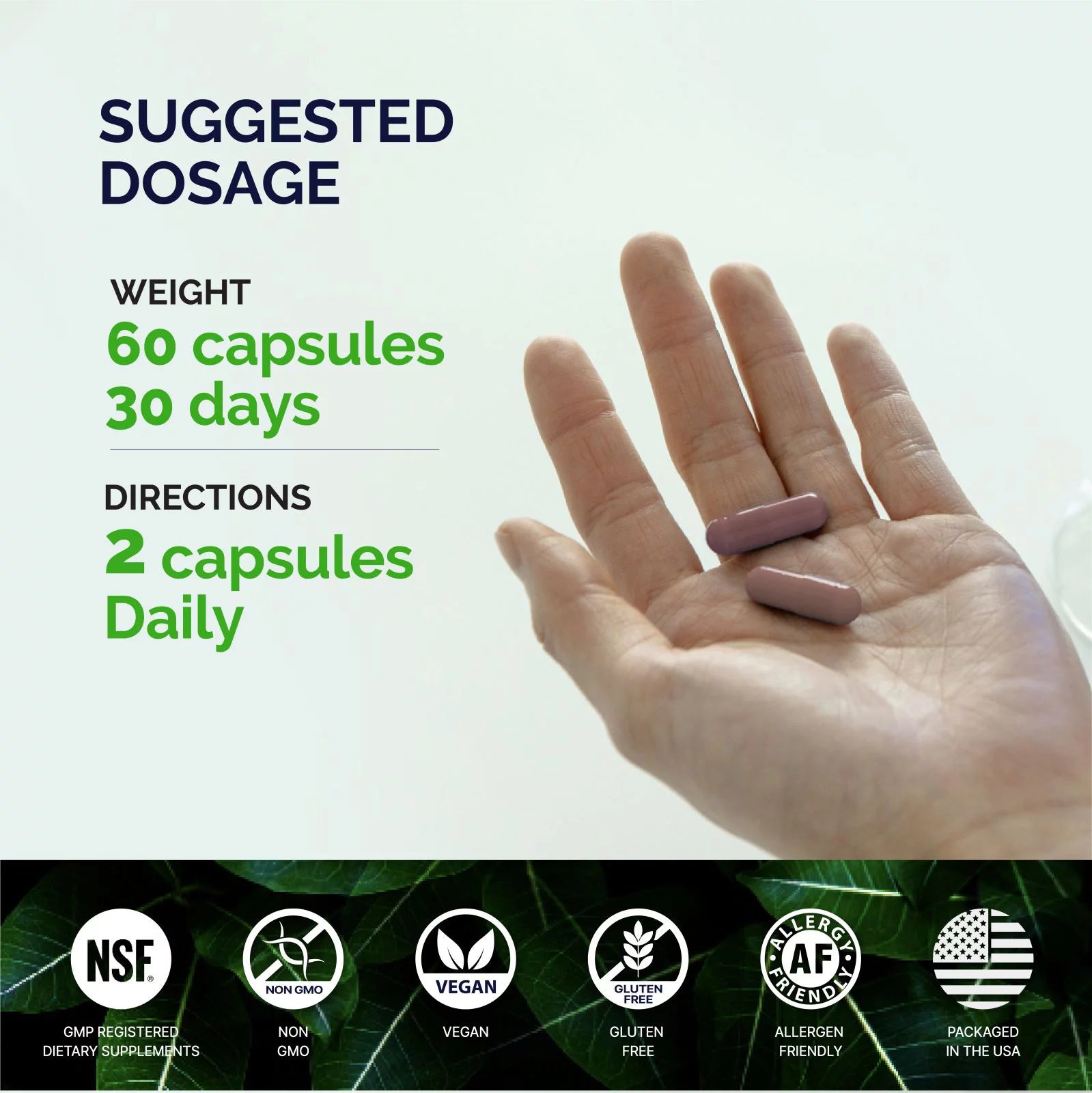 KORESELECT Beet Root Capsules with Vitamin E - Nitric Oxide Supplement Booster for Blood Circulation, Antioxidants Immune Support, Natural Athletic Performance, Wellness Formula - Vegan 60 Caps 