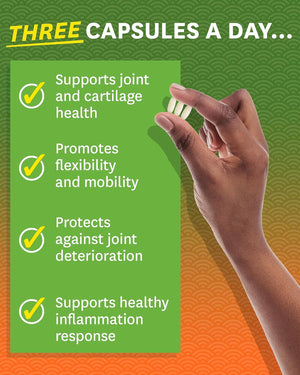 Glucosamine Chondroitin MSM - Joint Support Supplement with Turmeric for Hands, Back, Knee, and Joint Health, Advanced Relief for Bone and Joint Flexibility and Mobility - 180 Capsules