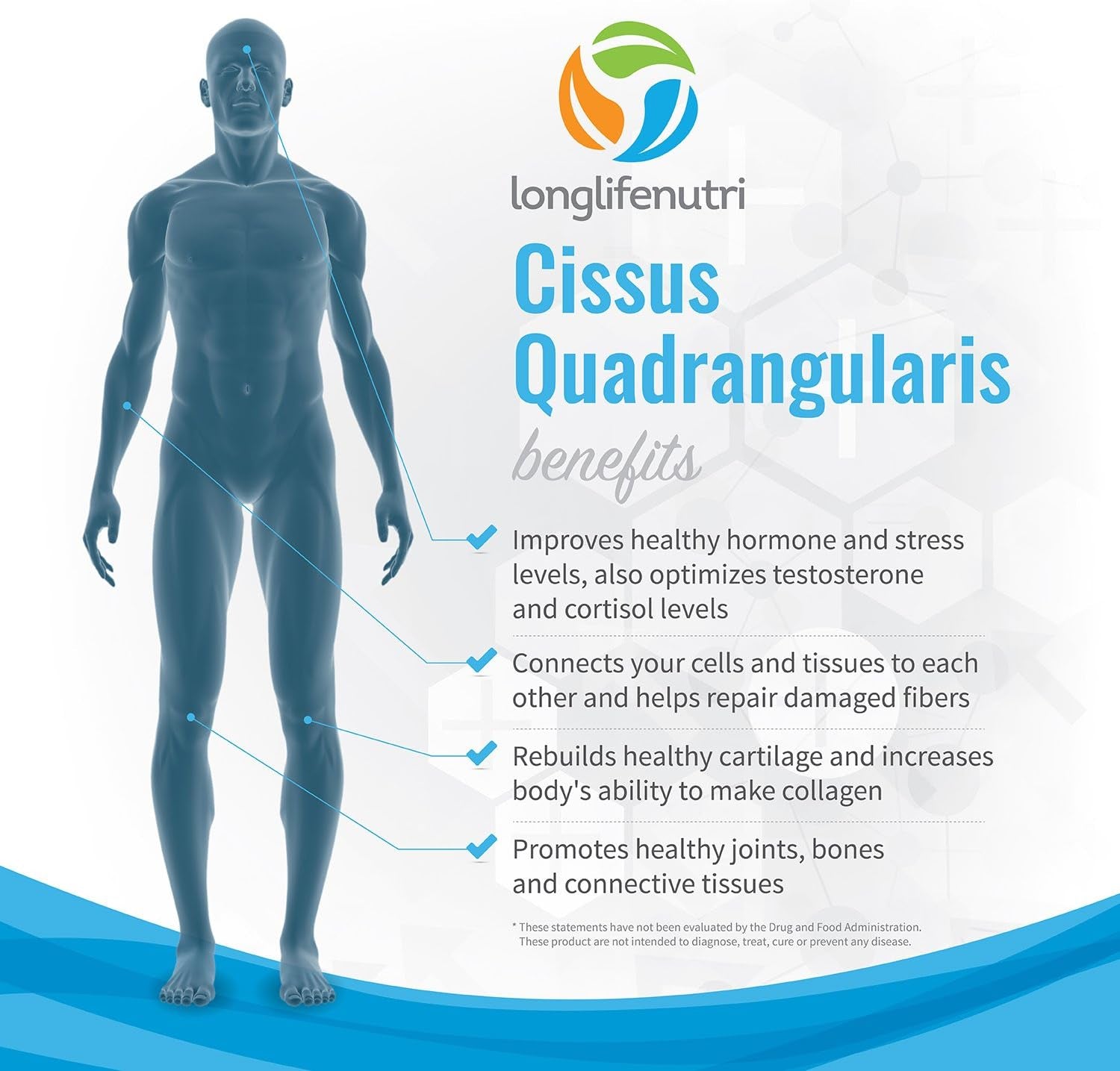 Cissus Quadrangularis 1200Mg - 180 Veggie Capsules - Natural Formula for General Wellness and Vitality 