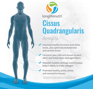 Cissus Quadrangularis 1200Mg - 180 Veggie Capsules - Natural Formula for General Wellness and Vitality 