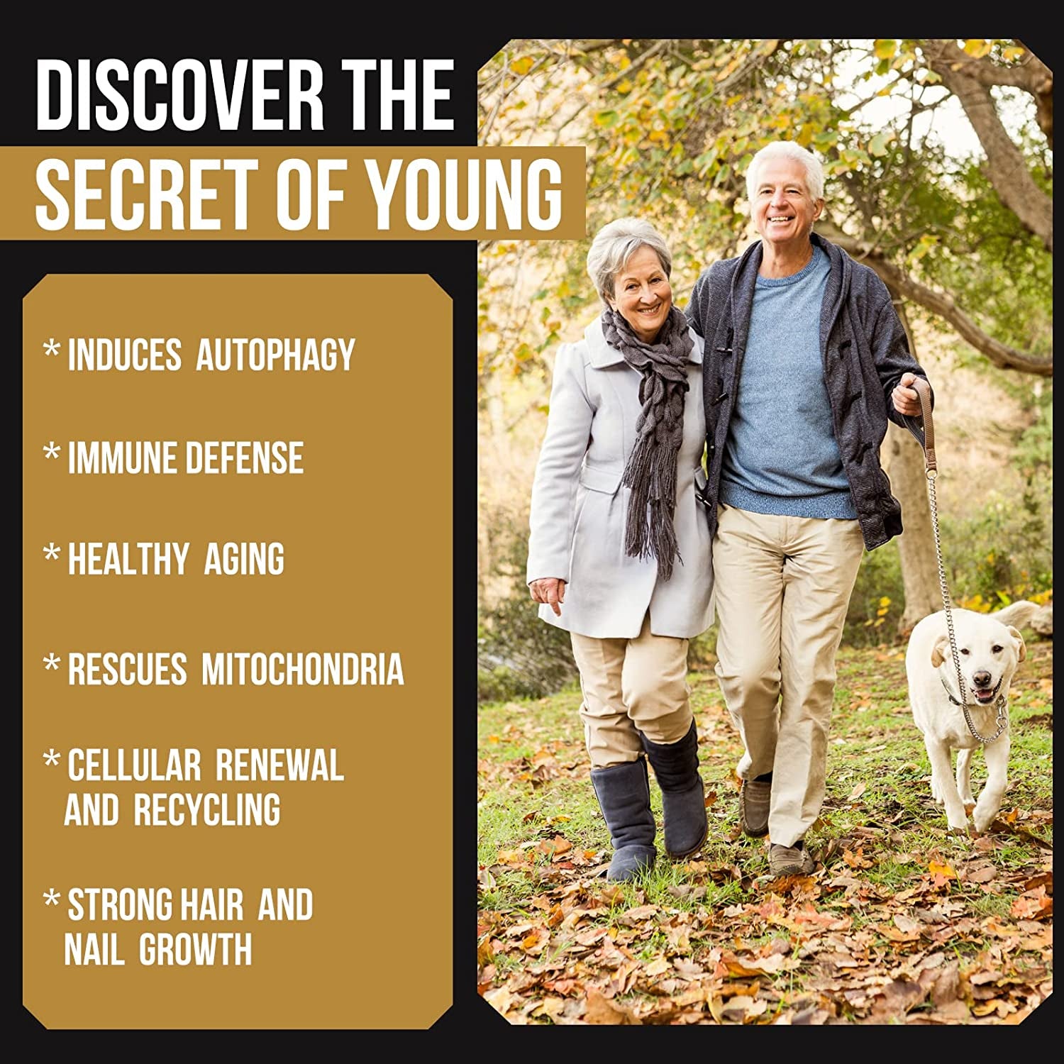 Spermidine Supplements 13Mg - 1300Mg Wheat Germ Extract Capsules Potent Formula with Higher Spermidine Content and Zinc for Healthy Aging, Daily Immune System and Cell Renewal, 60 Capsules