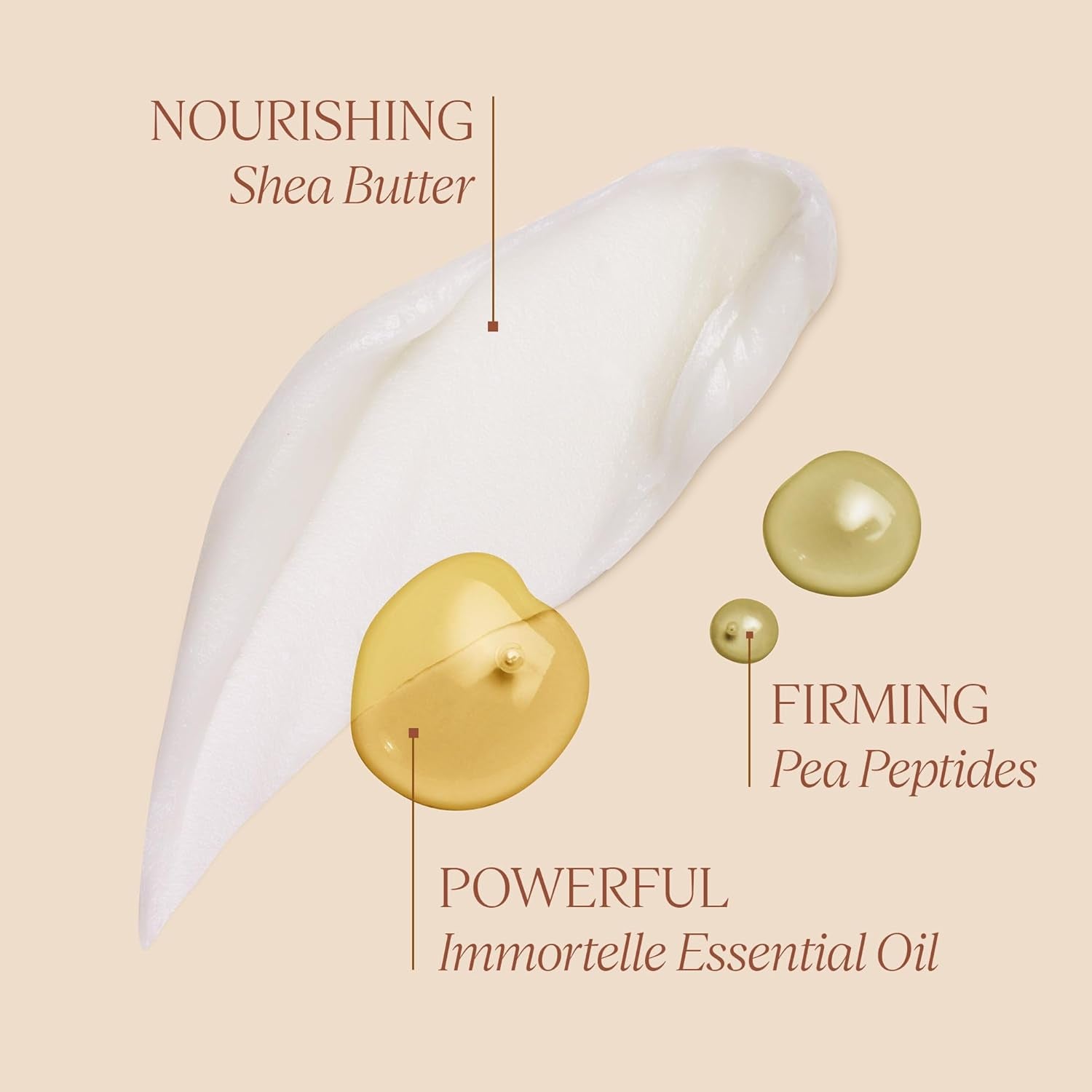 L'Occitane Immortelle Divine Duo Gift Set: Target Wrinkles, Visibly Firm Skin, Improve Skin Elasticity with Body Balm and Hand Cream