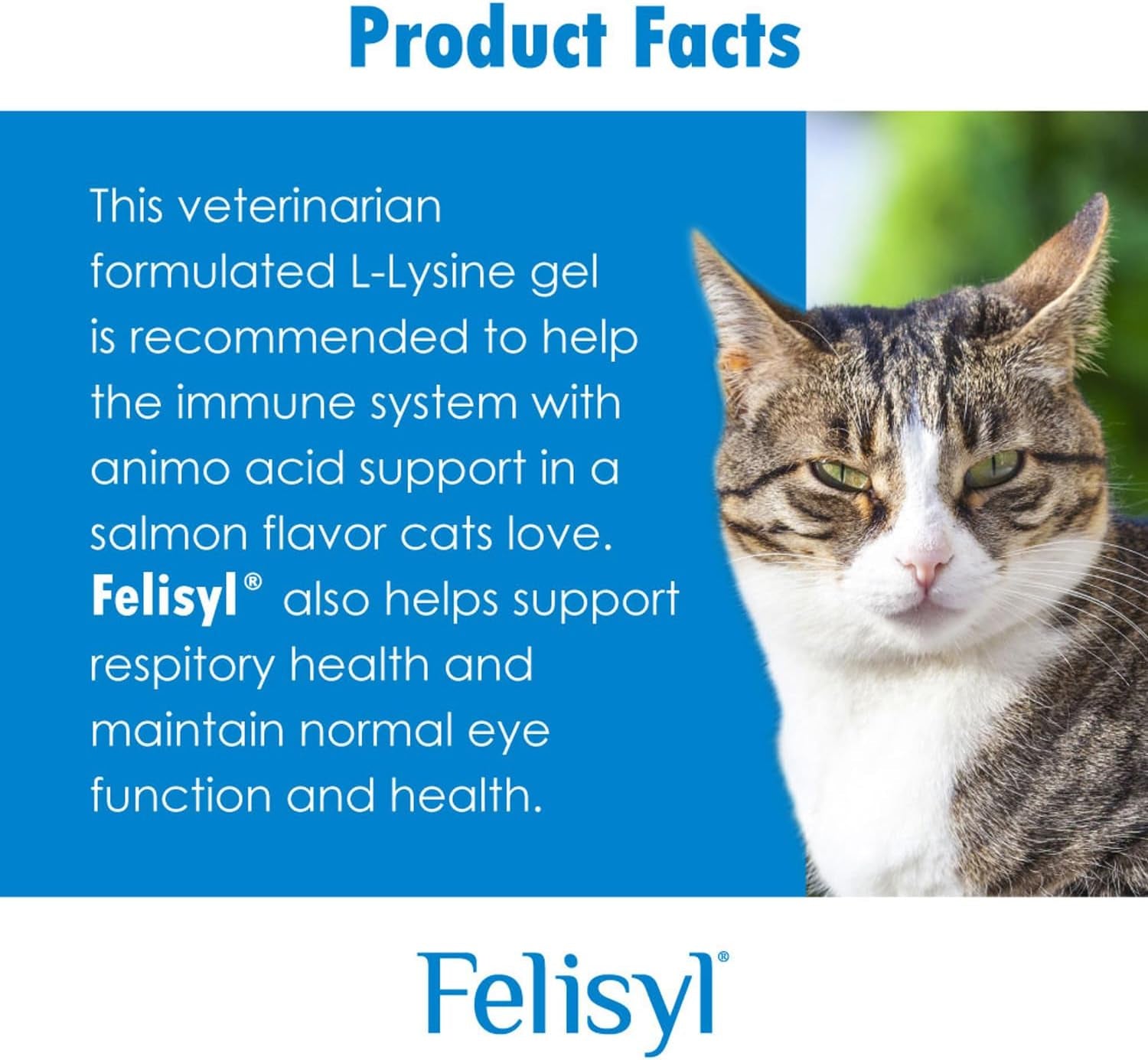 L-Lysine Gel for Cats - Immune System Support - Supplement Support for Healthy Tissue, Respiratory, and Vision - Salmon-Flavored - Made in the USA - 5 Oz