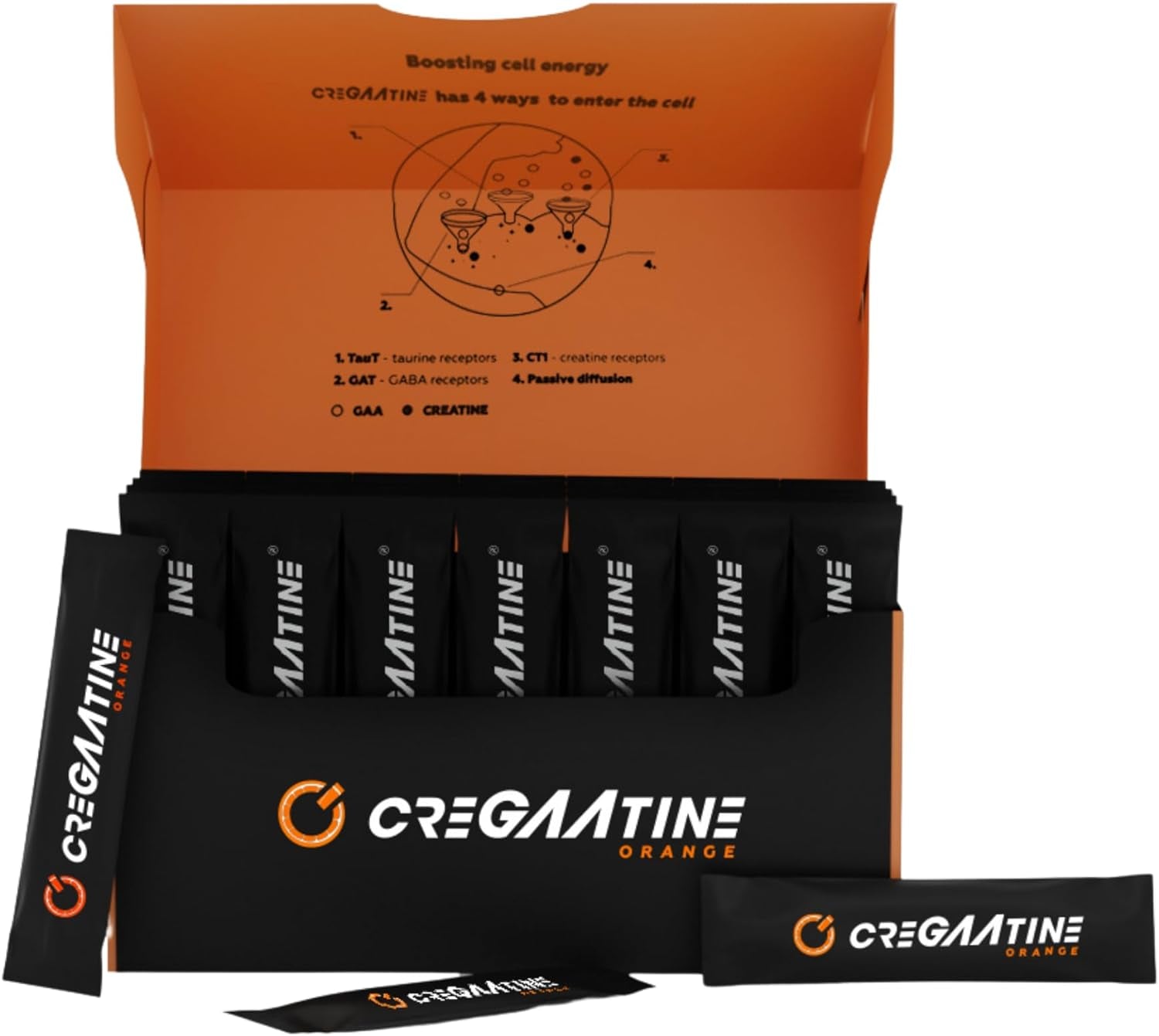 Micronized Creatine Monohydrate + GAA - No Water Retention Approved Science Creatine Vegan & Gluten Free for Muscle Growth Memory & Focus, for Men & Women (Orange)
