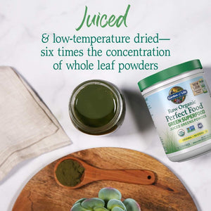 Garden of Life Raw Organic Perfect Food Green Superfood Juiced Greens Powder - Apple Flavor, 30 Servings - Vegan Gluten Free Whole Food Dietary Supplement, Greens plus Probiotics & Enzymes