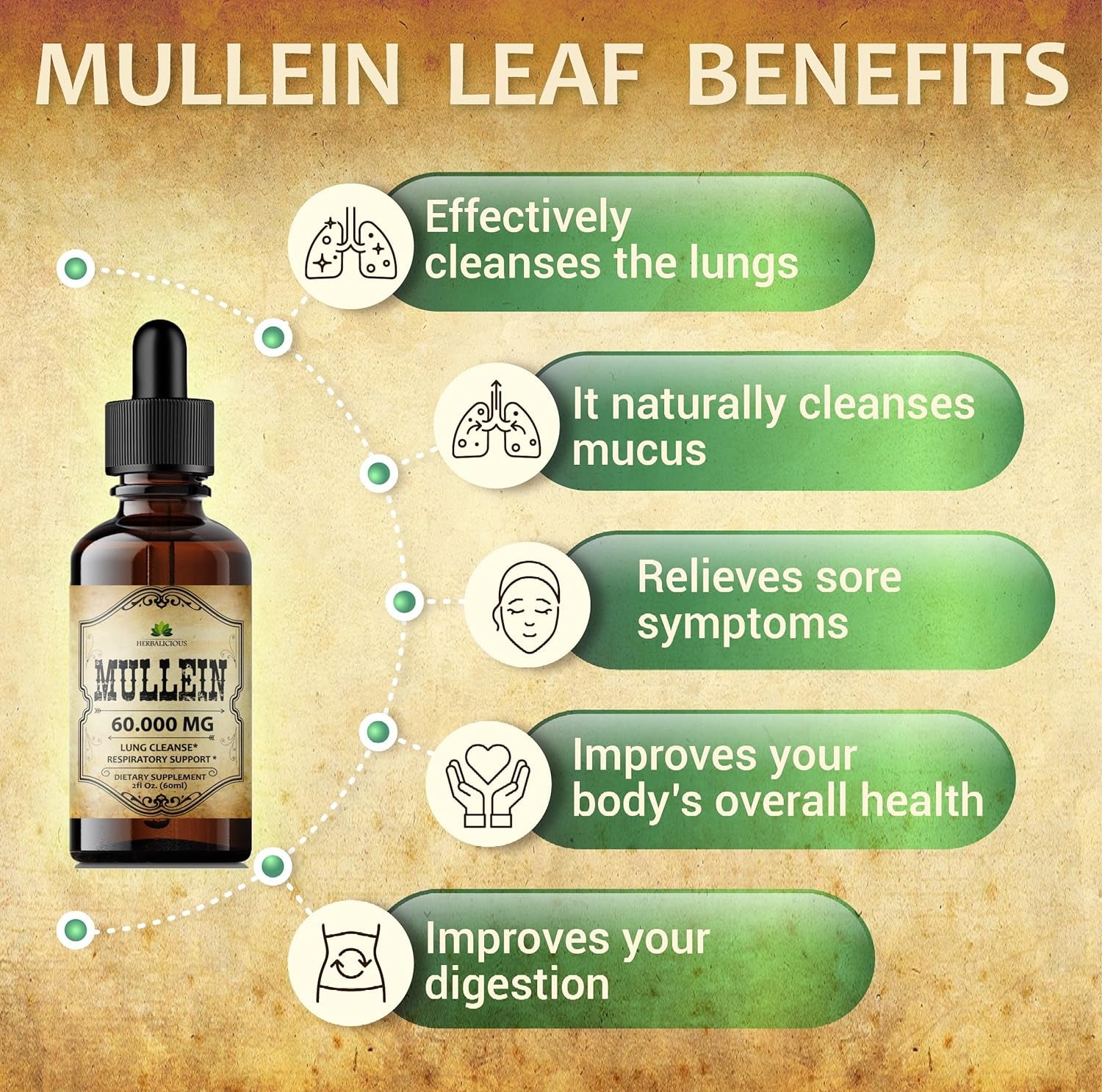 Mullein Leaf Capsules - Verbascum Thapsus Supplement - Herbal Extract Promoting Lung Respiratory & Digestive Wellness - Lung Cleanse & Detox Support Pills - Vegan Non-Gmo, 100 Tablets 